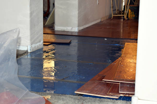 Professional Water Damage Restoration technician working in Clarksville, VA